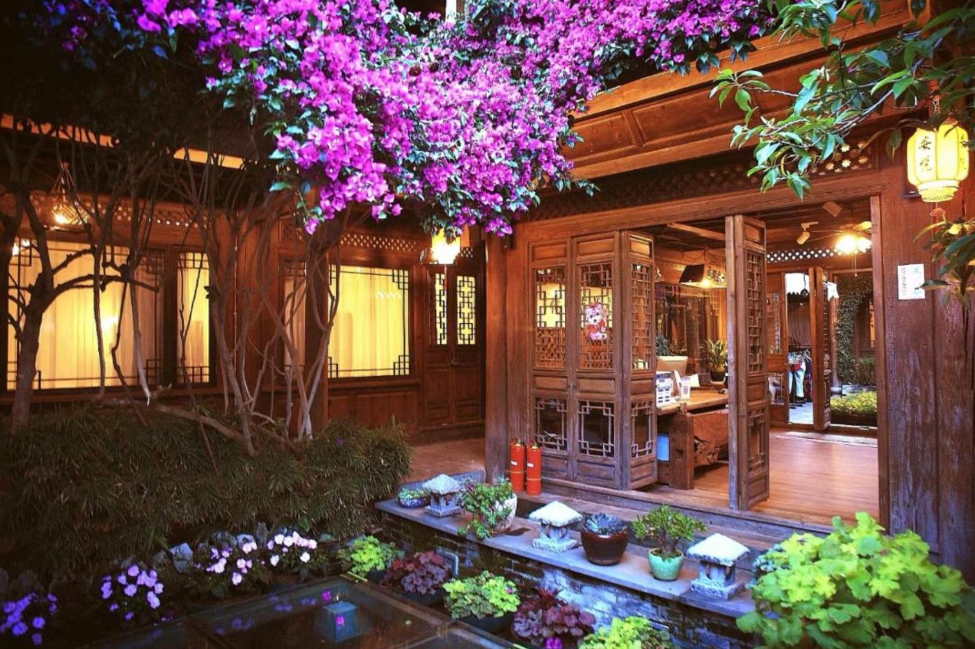 Big Tree Guesthouse - Naxi Old Style 麗江市 エクステリア 写真