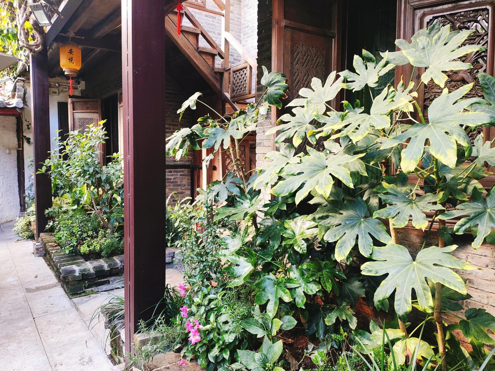 Big Tree Guesthouse - Naxi Old Style 麗江市 エクステリア 写真