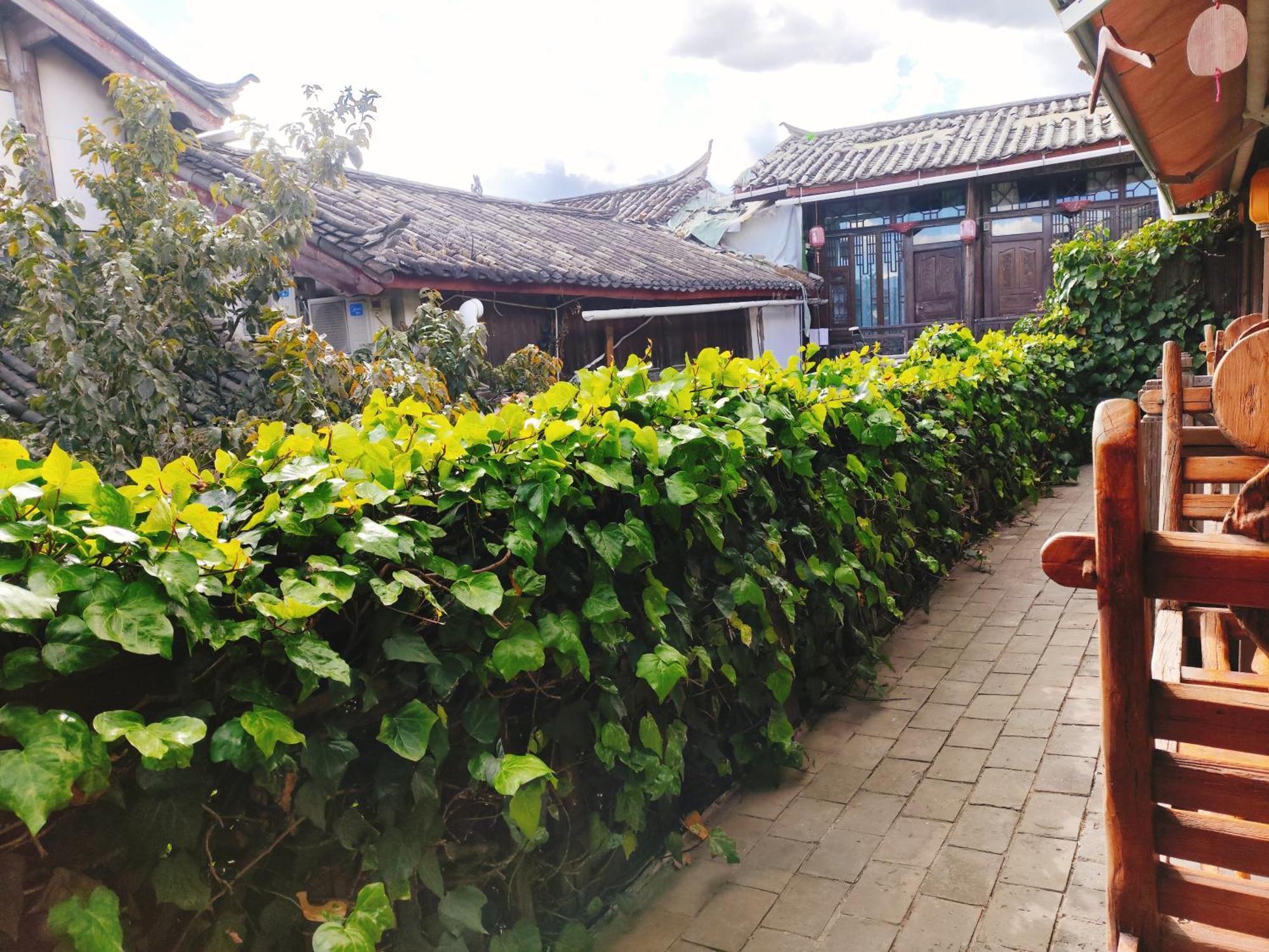 Big Tree Guesthouse - Naxi Old Style 麗江市 エクステリア 写真