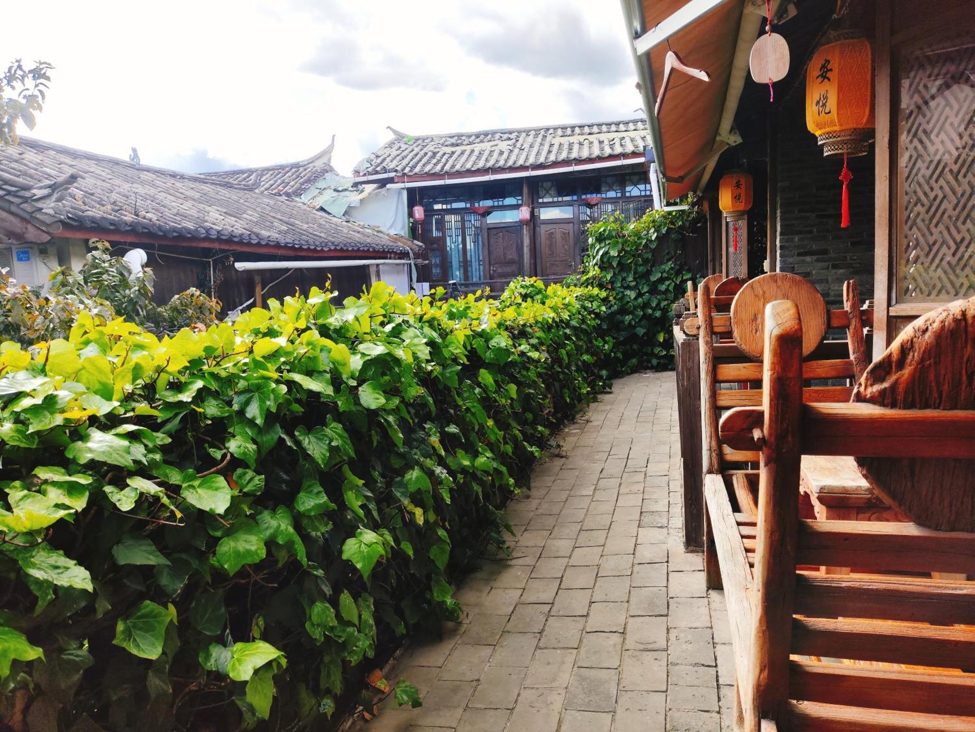Big Tree Guesthouse - Naxi Old Style 麗江市 エクステリア 写真